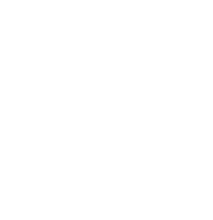 modelo-de-negocio-aprobado-icon